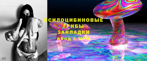 спиды Михайловка