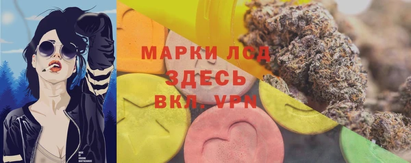 спиды Михайловка
