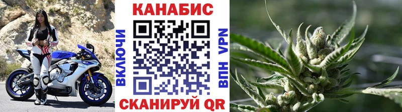 Конопля семена  Куровское 