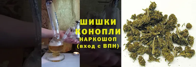 Конопля SATIVA & INDICA  Куровское 